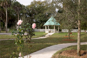 Lovely gazebo courtyard events